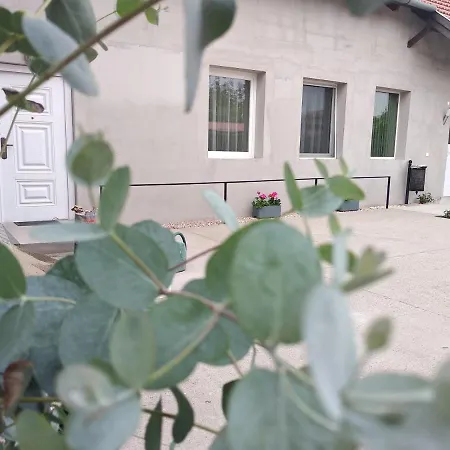 Lejlighed Kertvarosi Vendeghaz